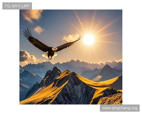 天生赢家一触即发k8：掌握核心技巧助你一飞冲天