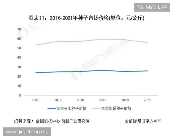 关注E组出线形势变化：比赛结果对晋级格局的影响分析